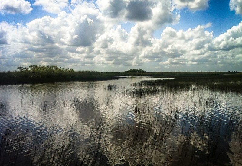 Mein Auslandsjahr in den USA