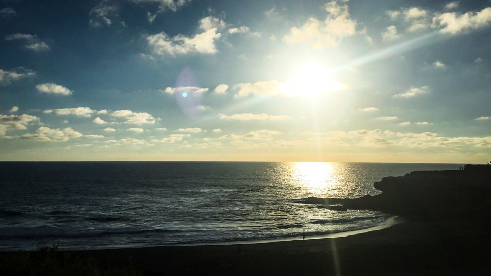 Kiten lernen auf Fuerteventura