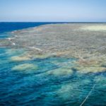 Tauchsafari in Ägypten, entdecke eine grandiose Unterwasserwelt!