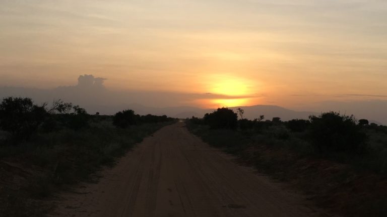 Urlaub in Kenia, zu Besuch im Tsavo Nationalpark
