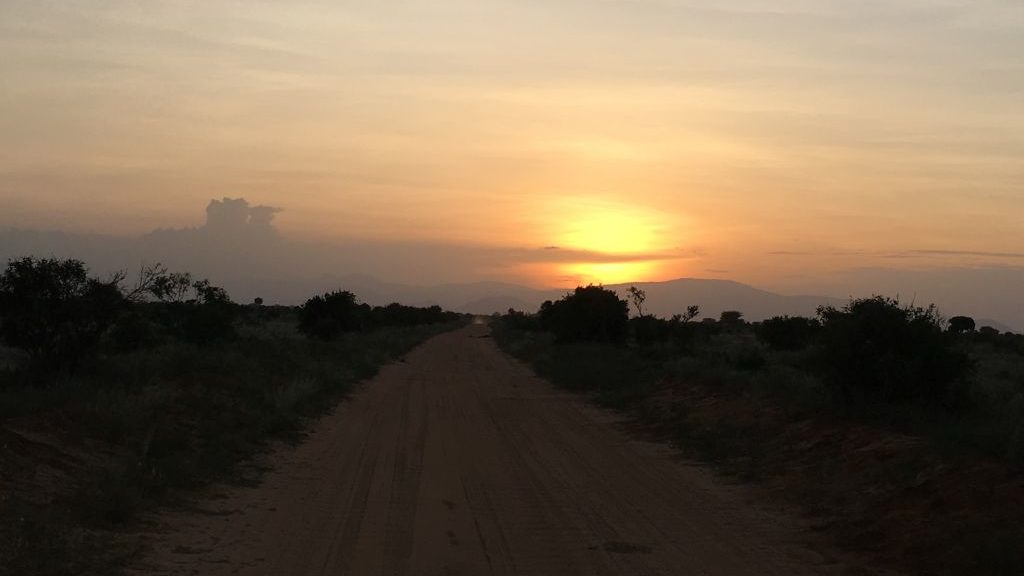 Tsavo East Nationalpark, Kenia