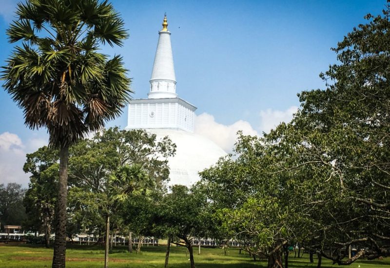 Unterwegs im Kulturdreieck Sri Lanka