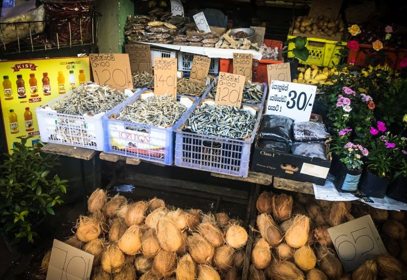 Unterwegs im Kulturdreieck Sri Lanka