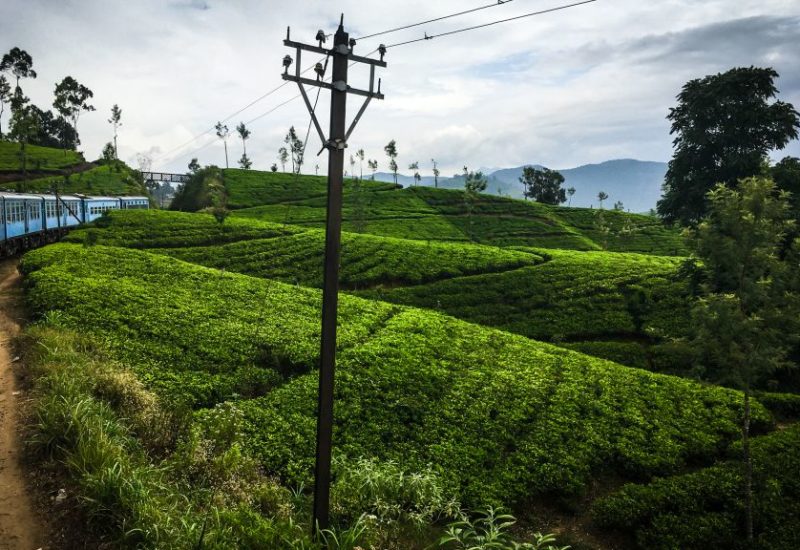 Zugfahrt nach Ella, Sri Lanka