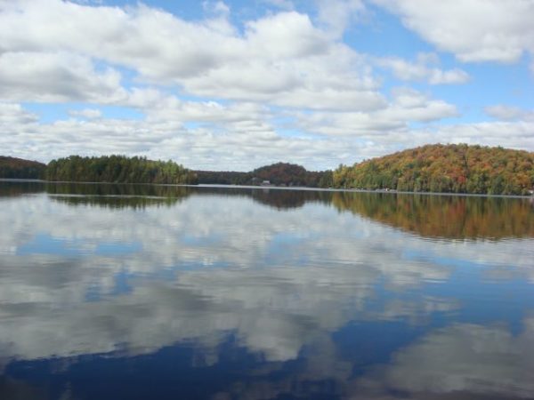 Mein Auslandsjahr in den USA und Kanada