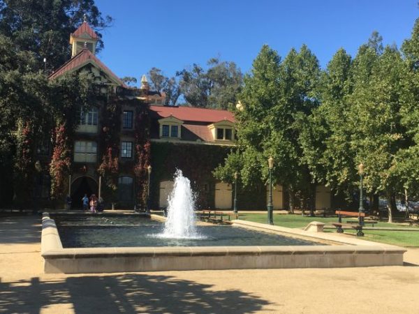 Wein, Napa, Reisebericht, Kalifornien