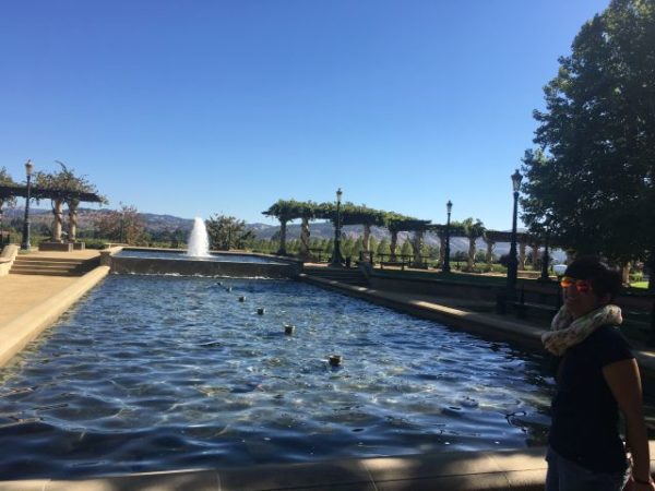 Wein, Napa, Reisebericht, Kalifornien