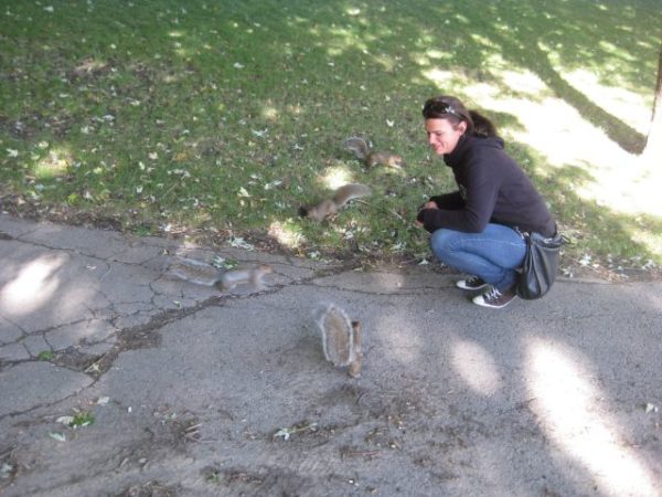 Mein Auslandsjahr in den USA und Kanada