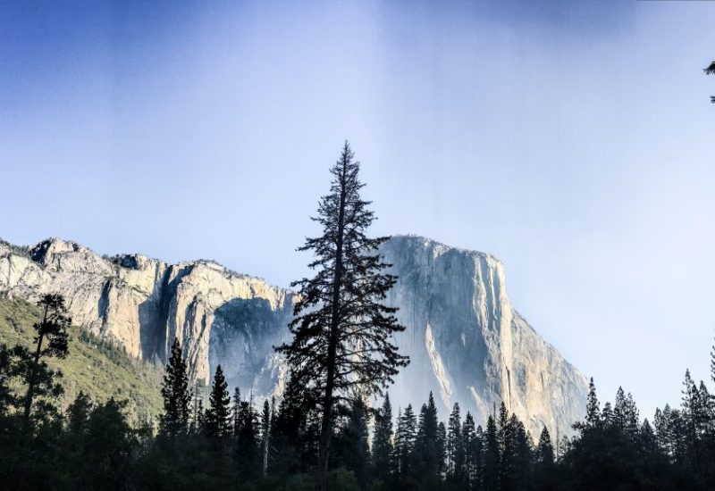 Ein Tag im Yosemite Nationalpark