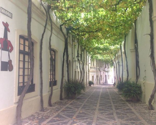 Jerez, Andalusien, Bodega