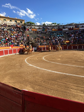 Mallorca_Reisetipps_Informationen