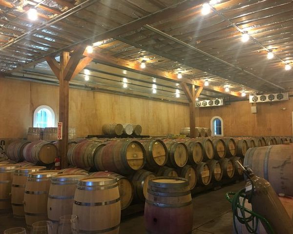 Valley, Wein, Kalifornien