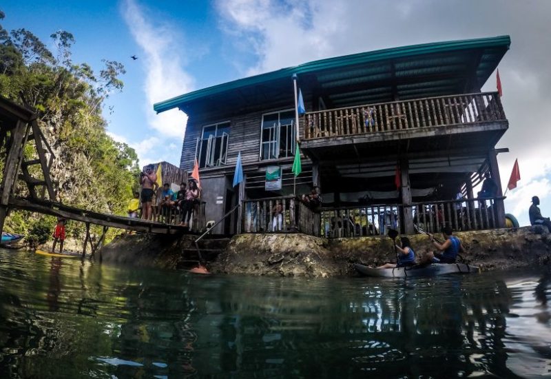 Mangrovenwälder auf Siargao