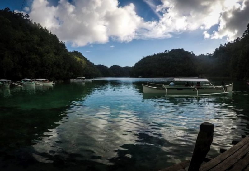 Mangrovenwälder auf Siargao