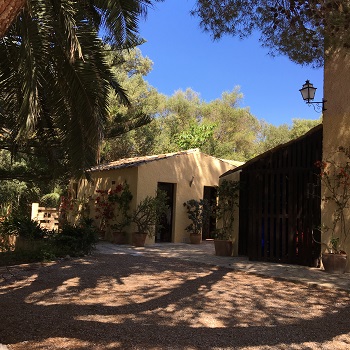 Mallorca_Reisetipps_Informationen