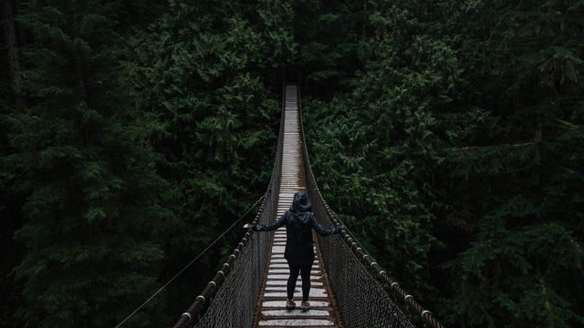 Vancouver – Lynn Canyon Suspension Bridge