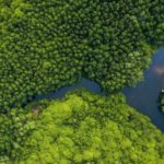 Philippinen, Sugba-Lagoon, Reisebericht