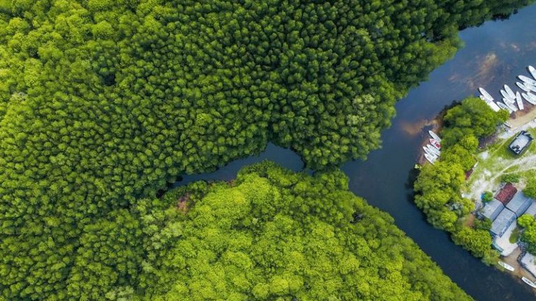 Philippinen, Sugba-Lagoon, Reisebericht