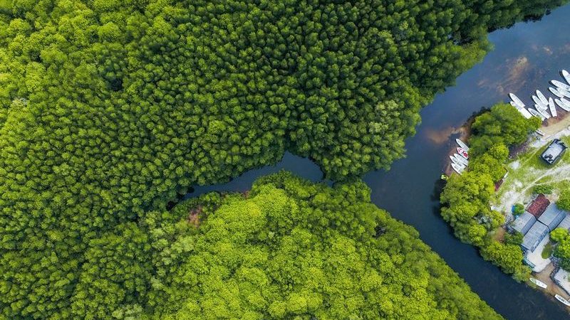 Philippinen, Sugba-Lagoon, Reisebericht