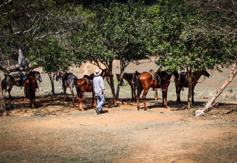 Kuba Urlaub und die absoluten Highlights die du nicht verpassen solltest!