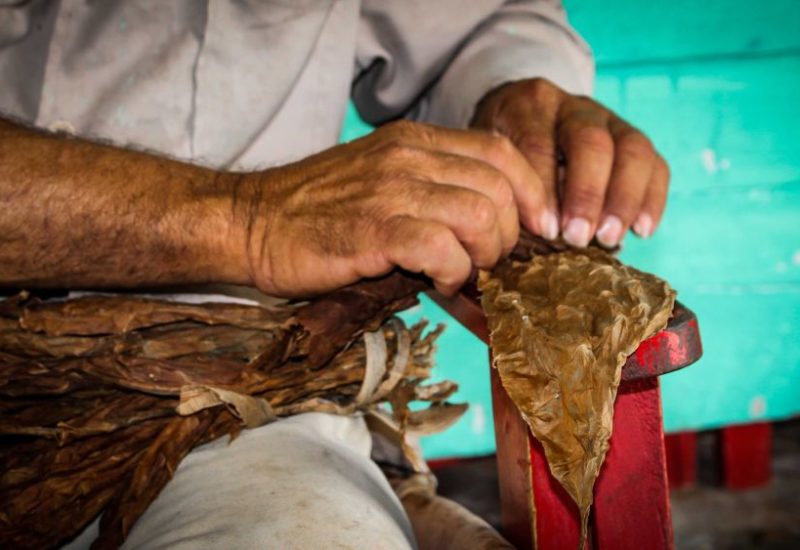 Kuba Urlaub und die absoluten Highlights die du nicht verpassen solltest!