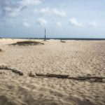 Ein Tagesausflug auf in den Osten Arubas