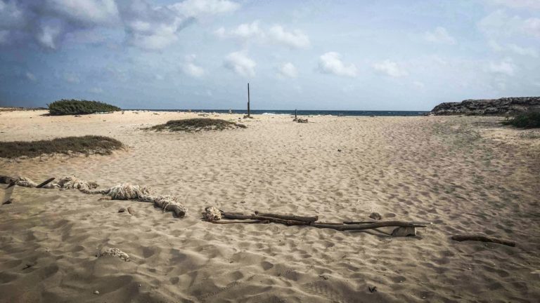 Ein Tagesausflug auf in den Osten Arubas