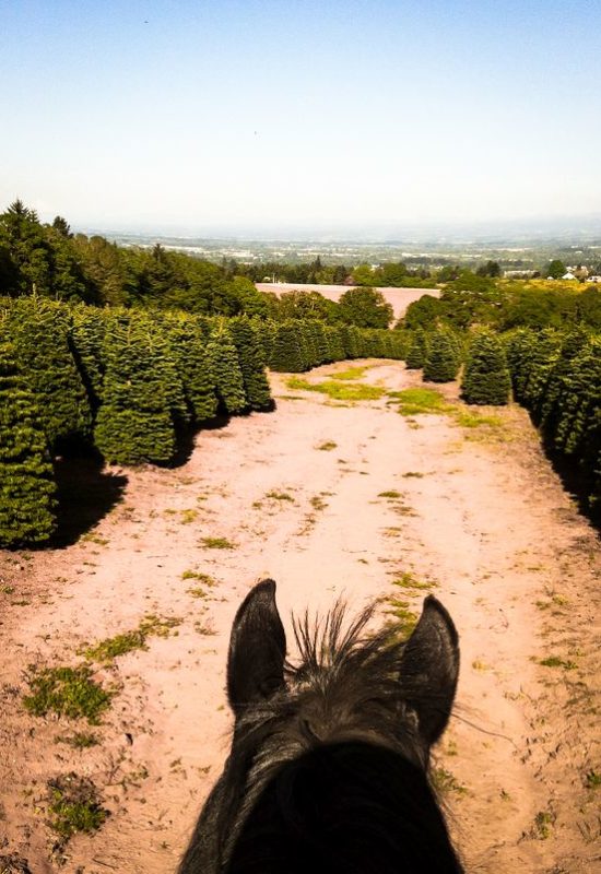Auslandsjahr in Salem, USA
