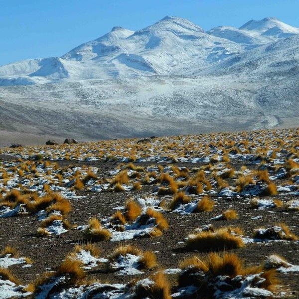 Fotografie - Bessere Bilder auf Reisen