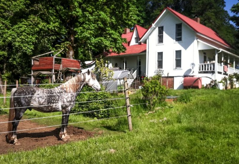 Auslandsjahr in Salem, USA