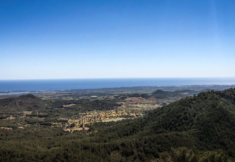 Palma de Mallorca im Frühling